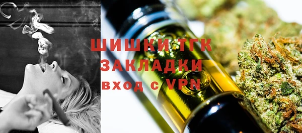 стафф Карпинск