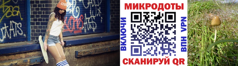 Купить где  Тейково  Псилоцибиновые грибы прущие грибы 